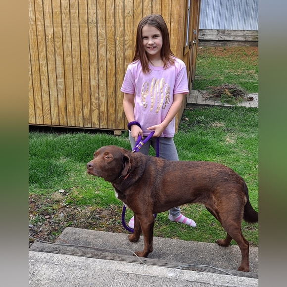 Meet your Posher, Sandra - Picture 9 of 11